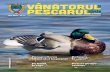 VPR10-Revista (octombrie)_Layout 1