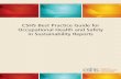 CSHS Best Practice Guide for Occupational Health and Safety in ...