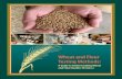 Wheat and Flour Testing Methods: A Guide to Understanding Wheat ...