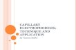 Capillary Electrophoresis: Technique and Application