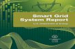 Smart Grid Systems Report - July 2009