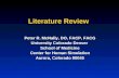 PowerPoint Presentation - Literature Review