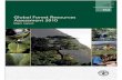Global Forest Resources Assessment 2010 - full report