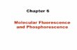 Chapter 6 Molecular Fluorescence and Phosphorescence