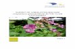 Survey of Himalayan Balsam in the Clun Catchment report Part 1