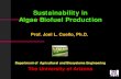 Sustainability in Algae Biofuel Production