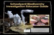 Schoolyard Biodiversity Investigation Educator Guide