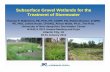 Subsurface Gravel Wetlands for the T t t f St t Treatment of Stormwater