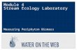 Mod4Lab - Stream Ecology - Measuring Periphyton Biomass
