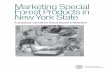 Marketing Special Forest Products in New York State