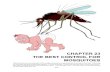 Chapter 23 - The Best Control for Mosquitoes