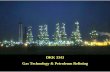 DKK 3343 Gas Technology & Petroleum Refining