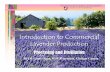 Introduction to Commercial Lavender Production, Processing and ...