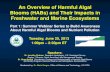 An Overview of Harmful Algal Blooms (HABs) and Their Impacts in ...