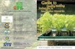 Guide to Quality Seedling Production