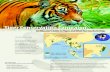 Tiger Conservation Campaign