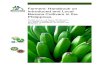 Farmers' Handbook on Introduced and Local Banana Cultivars in ...