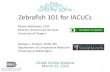 OLAW Online Seminar: Zebrafish 101 for IACUCs, March 12, 2015