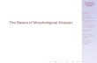 The Basics of Morphological Analysis