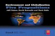 Environment and Globalization: Five Propositions