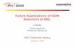 Future Applications of GEM Detectors at BNL