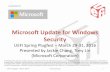 Microsoft Update for Windows Security
