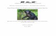 Bonobo Conservation Project – Maringa Lopori Wamba Final ...