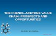 the phenol-acetone value chain: prospects and opportunities
