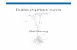 Electrical properties of neurons