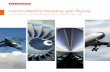 Controls and Avionics Solutions brochure