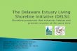The Delaware Estuary Living Shoreline Initiative (DELSI)