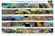 PICTURE GUIDE TO STONY CORALS OF GLOVERS REEF ATOLL