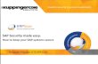 SAP Security Made Easy (KuppingerCole)
