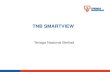 What is the TNB SmartView?