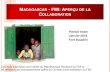 MADAGASCAR - FMI: APERÇU DE LA COLLABORATION; Patrick ...