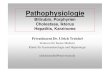 Pathophysiologie CholestaseHepatitisHCC