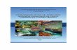 catálogo de peces de arrecifes rocosos-coralinos de Punta