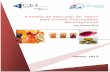 Estudio de Mercado de Japón para Frutas Procesadas Nicaragüense