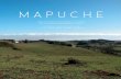 mapuche - fucoa