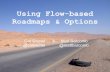 Using Flow-based Road Mapping & Options