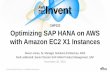 AWS re:Invent 2016: Optimizing workloads in SAP HANA with Amazon EC2 X1 Instances (CMP322)