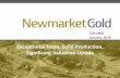 Newmarket gold corporate presentation jan 20 final
