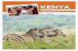 Kenya Travel Study Flyer