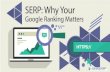 What is SERP?