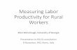Measuring Labor Productivity for Rural Workers (Ellen McCullough, Uni Georgia)