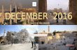 DECEMBER 2016 - Pictures of the month - Dec. 6 - Dec.11