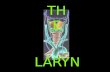 "Learning the Larynx"
