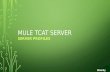 Mule tcat server - Server profiles