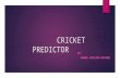 Cricket predictor