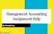 Management accounting assignment help